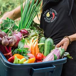 Urban Harvest Organic Delivery, Kelowna, BC opening hours