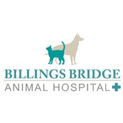 Billings Bridge Animal Hospital, Ottawa, ON opening hours
