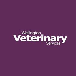 Wellington Veterinary Services, Elora, ON opening hours