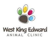 West King Edward Animal Clinic in Vancouver, BC (Riley Park/South Cambie) - Opening Hours