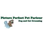 Picture Perfect Pet Parlour Ltd, St. John's, NL opening hours