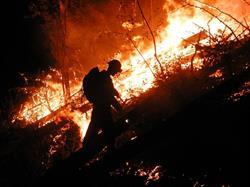 Apex Forest & Wildfire Services, Nelson, BC opening hours