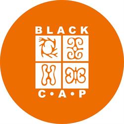 Black Coalition For Aids Prevention in Toronto, ON (Fashion District) - Opening Hours