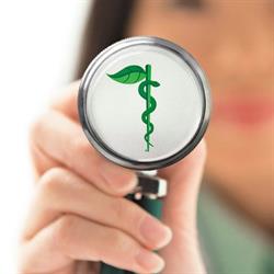 Markham Village Naturopathic Clinic, opening hours
