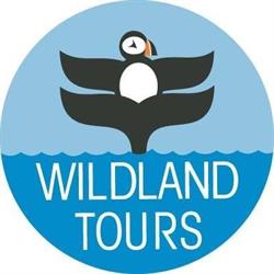 Wildland Tours & Convention Services, St. John's, NL opening hours
