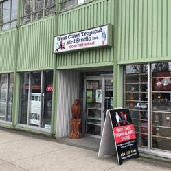 West Coast Tropical Bird Studio Incorporated in Vancouver, BC (Fairview) - Opening Hours