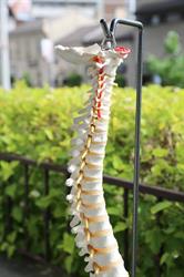 Norfolk Chiropractic Wellness Centre, Guelph, ON opening hours