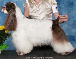 Ginas Dog Grooming, Orillia, ON opening hours