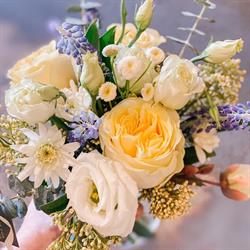 Special Moments Flowers & Gifts Ltd, North Vancouver, BC opening hours