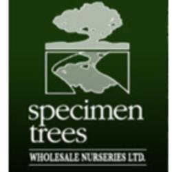 Specimen Trees Wholesale Nurseries Ltd, Pitt Meadows, BC opening hours