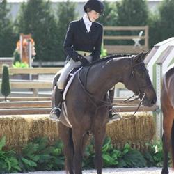 Maple Meadows Equestrian Training Center, Pitt Meadows, BC opening hours