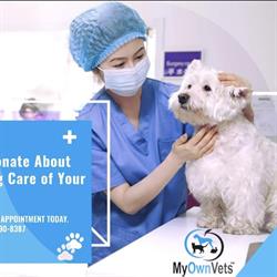 Mississauga Veterinary Spay-Neuter Clinic, opening hours