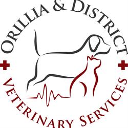 Orillia & District Veterinary Services, Coldwater, ON opening hours