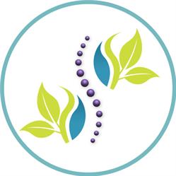 8th Street Chiropractic Health & Wellness Clinic, Saskatoon, SK opening hours