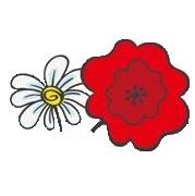 CPE Les Coquelicots, Saint-Hyacinthe, QC opening hours