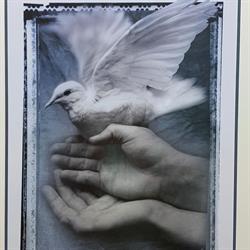 Hands In Health Massage Therapy & Wellness Centre, London, ON opening hours