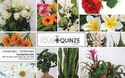 Fleuriste Louis Quinze Boutique de Fleurs in Montréal, QC (Downtown) - Opening Hours