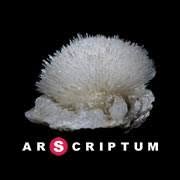 Arscriptum - Création et fabrication de trophées in Montréal, QC (La Petite-Patrie) - Opening Hours