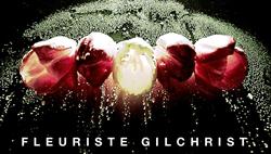 Fleuriste Gilchrist in Montréal, QC (Golden Square Mile) - Opening Hours