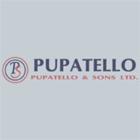 Pupatello & Sons Ltd General Contractors, Windsor, ON opening hours