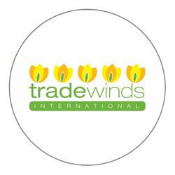 Tradewinds International Sales, Mississauga, ON opening hours