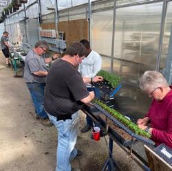 Howard Greenhouses & Produce, Simcoe, ON opening hours
