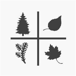 Highland Evergreen Supply Ltd., Mississauga, ON opening hours