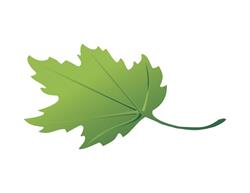 Woodecor Ltd., Stratford, ON opening hours