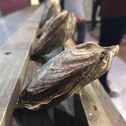 Atlantic Shellfish Inc., Morell, PE opening hours