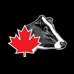 Holstein Association Of Canada, Brantford, ON opening hours