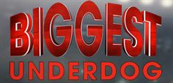 N.e. Hagedorn & Sons Limited, Paisley, ON opening hours