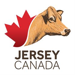 Jersey Canada, Guelph, ON opening hours