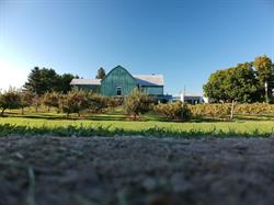 Ocala Winery & Orchards, Port Perry, ON opening hours