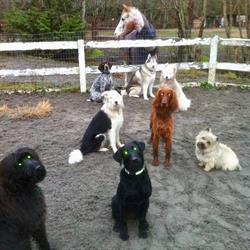 Country Ranch Dog Boarding, Squamish, BC opening hours