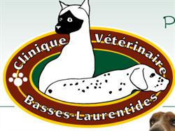 Veterinary Clinic Lower Laurentians, Boisbriand, QC opening hours