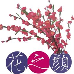 Amy's Spa, Markham, ON opening hours