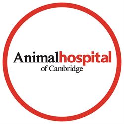 Animal Hospital of Cambridge, opening hours