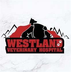 Westland Veterinary Hospital in Calgary, AB (Glendale) - Opening Hours