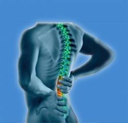 St Anne's Road Chiropractic Office in Winnipeg, MB (St. George) - Opening Hours