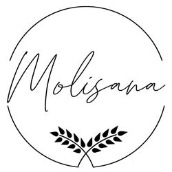 MOLISANA PIZZERIA - Boulangerie - Pâtisserie - Fromagerie - Charcuterie - Catering / Traiteur, Montréal, QC opening hours