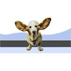 Menzies Pet Hospital, Chilliwack, BC opening hours