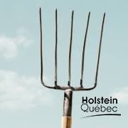 Association Holstein Quebec, Saint-Hyacinthe, QC opening hours