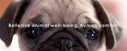 Bellerive Veterinary Hospital Inc, Laval, QC opening hours