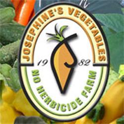 Dinosaur Valley Mini Golf & Josephine's Vegetables, Blezard Valley, ON opening hours