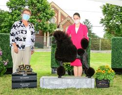 Creative Clips Dog Grooming, Belleville, ON opening hours