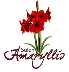 Salon Amaryllis in Québec, QC (Saint-Sauveur) - Opening Hours
