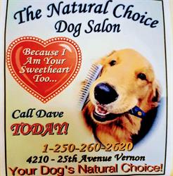 Natural Choice Dog Salon, Vernon, BC opening hours