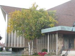 Meadow Creek Community Church in Hamilton, ON (Burkholme) - Opening Hours