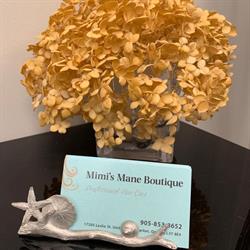 Mimi's Mane Boutique, Newmarket, ON opening hours