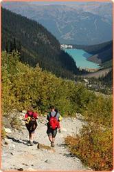 Active Physiotherapy & Wellness Centre, Calgary, AB opening hours